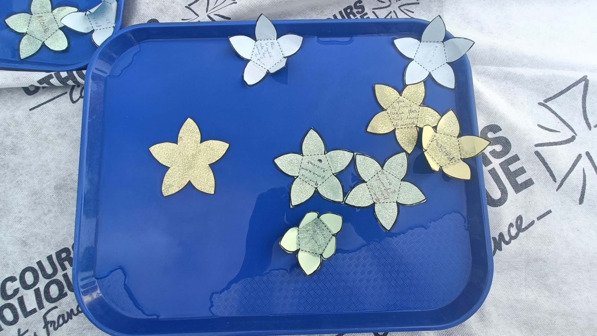 Eclosion des fleurs en papier