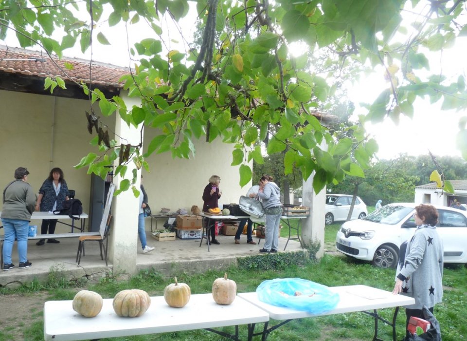 Fruits et légumes dans le jardin de l'accueil à Gréasque