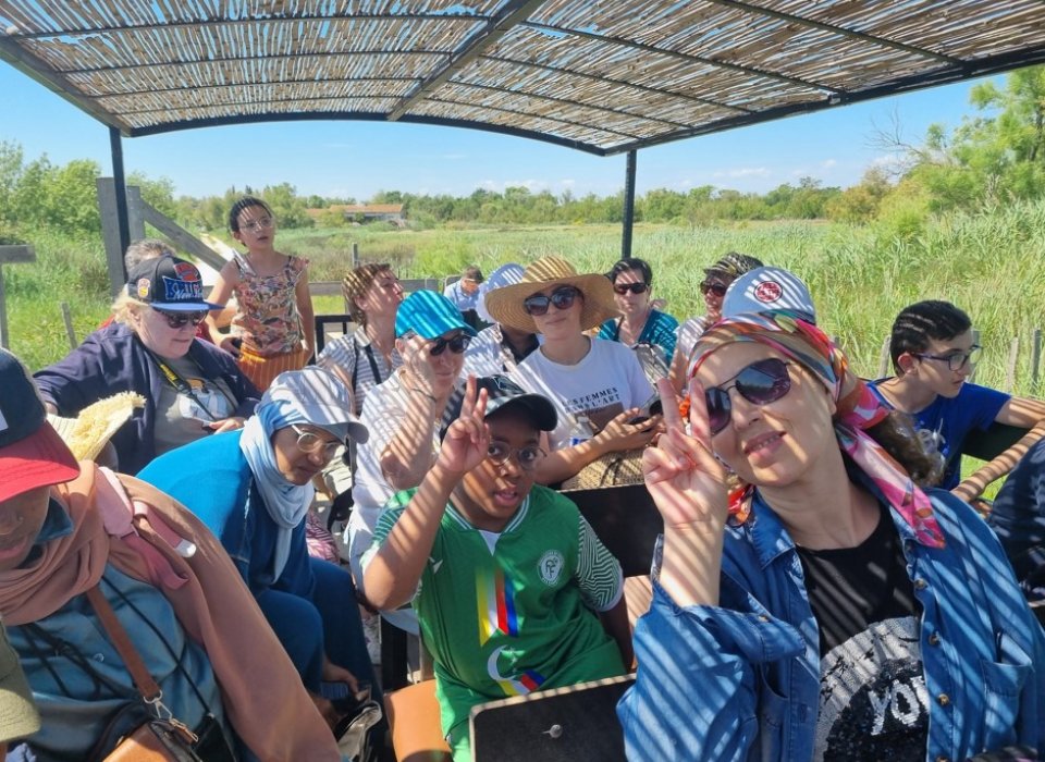 Visite en calèche des Marais de Vigueirat, en Camargue