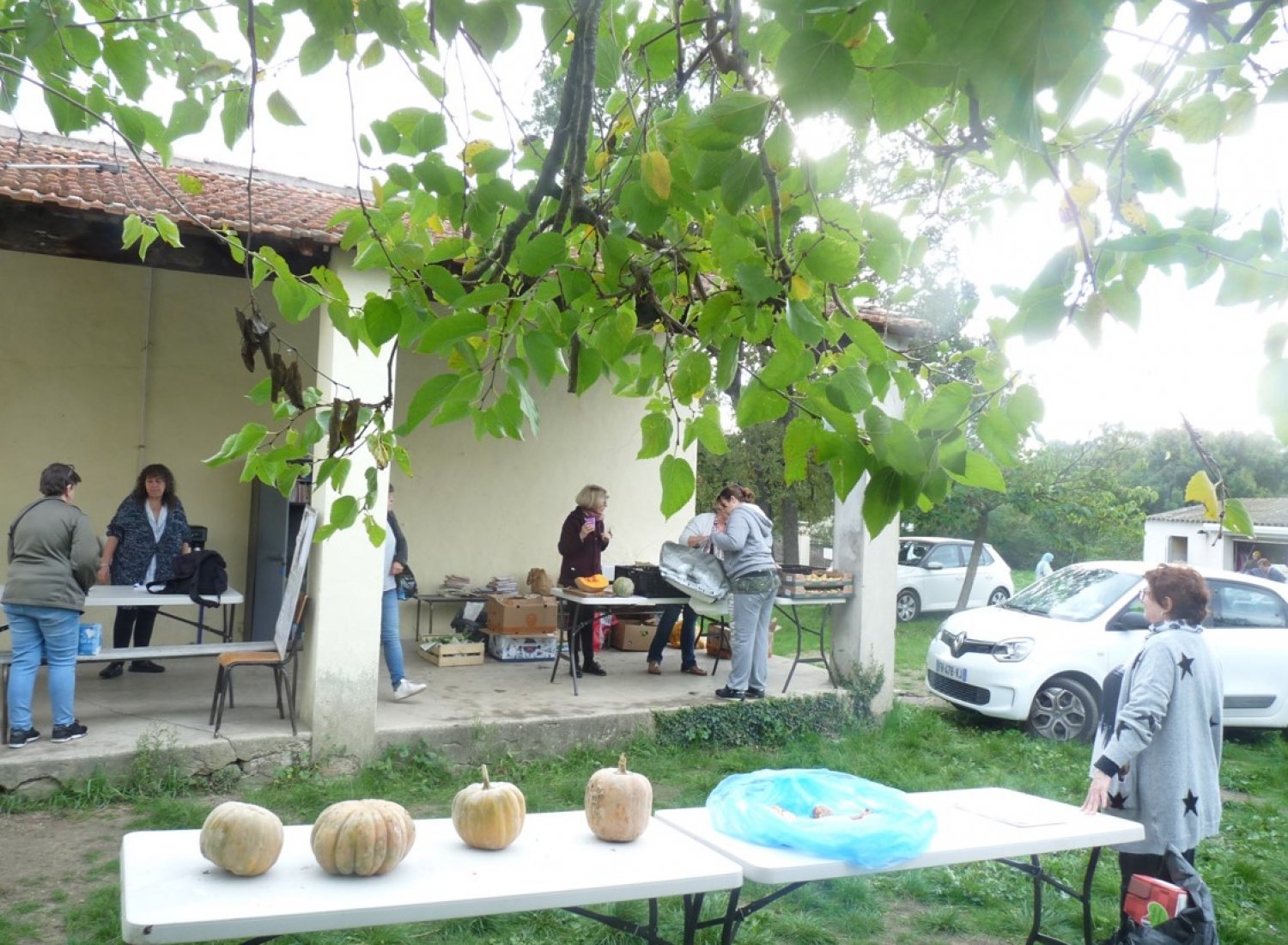 Fruits et légumes dans le jardin de l'accueil à Gréasque