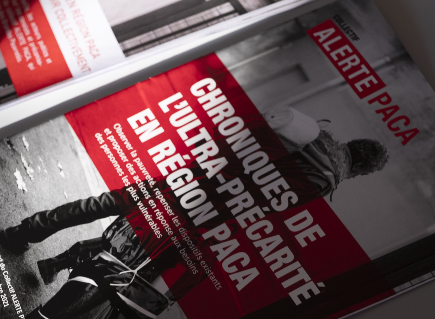 Rapport collectif Alerte PACA "Chroniques de l'ultra-précarité"